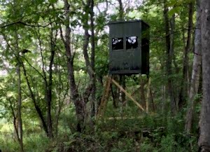 12 Point Hunting Blinds Featured Image