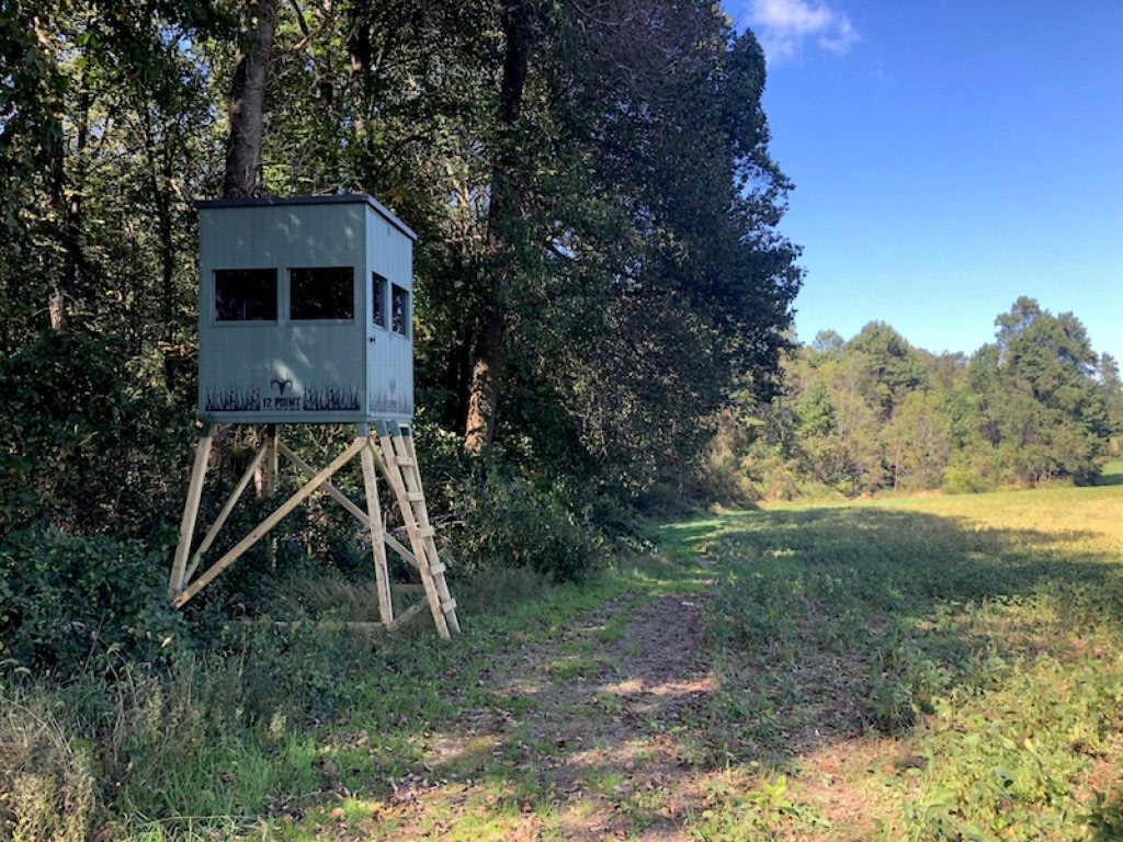 12Point Blind_3