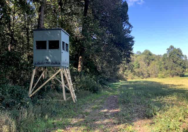 12Point Blind_3