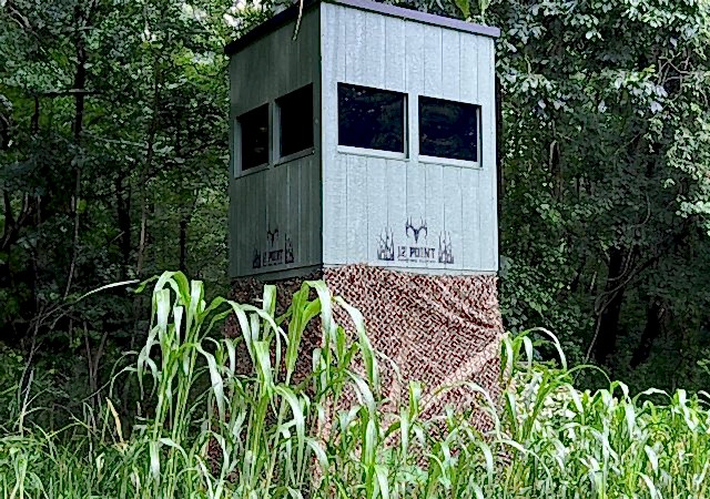 12Point Blind_8