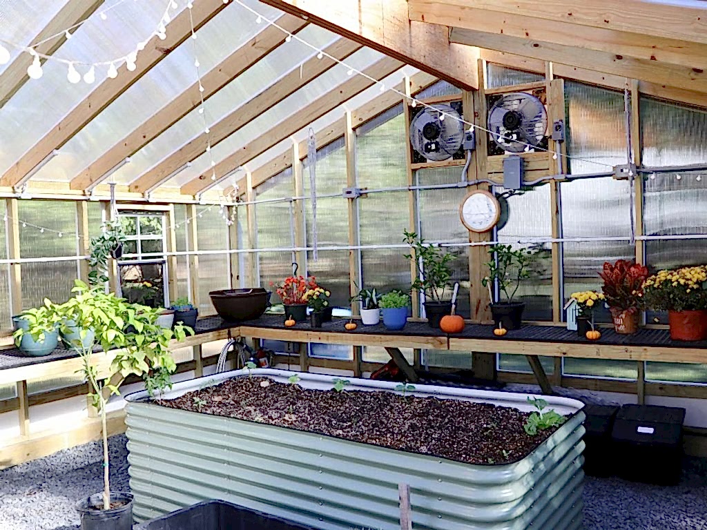 Double Wide Greenhouse - Braca16