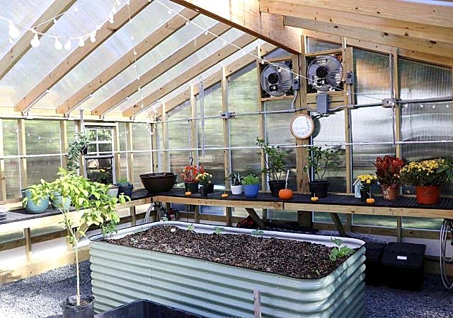 Double Wide Greenhouse - Braca16