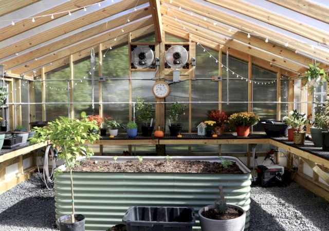 Double Wide Greenhouse - Braca23